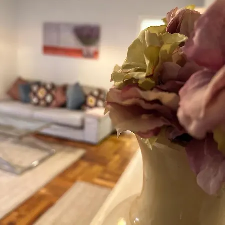 Fantastico En El Centro De * 빌바오